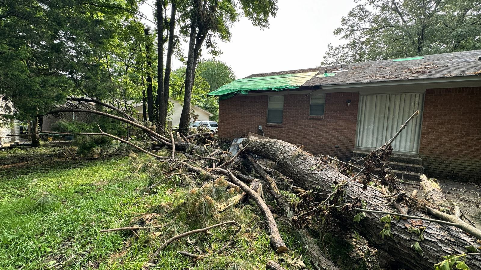 Storm-fallen tree on a home in DeSoto County, Mississippi, cleanup by Hart Exterior Services, LLC
