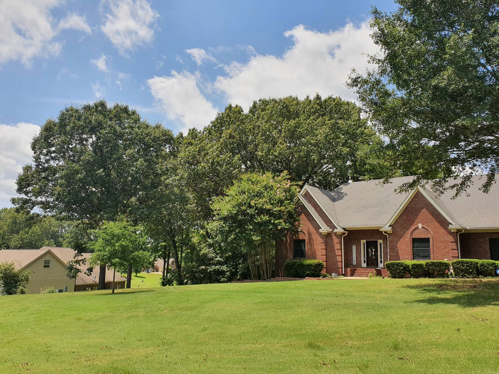 Tree trimming and pruning in DeSoto County, Mississippi by Hart Exterior Services, LLC